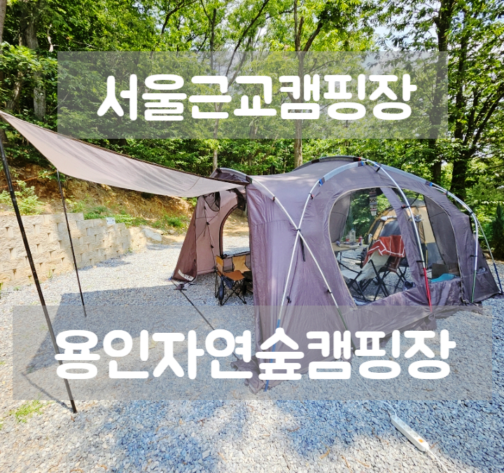용인자연숲캠핑장