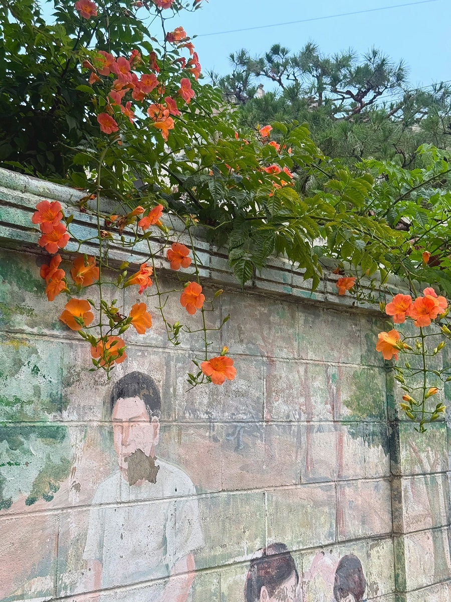 샤뽀블랑 사진 1