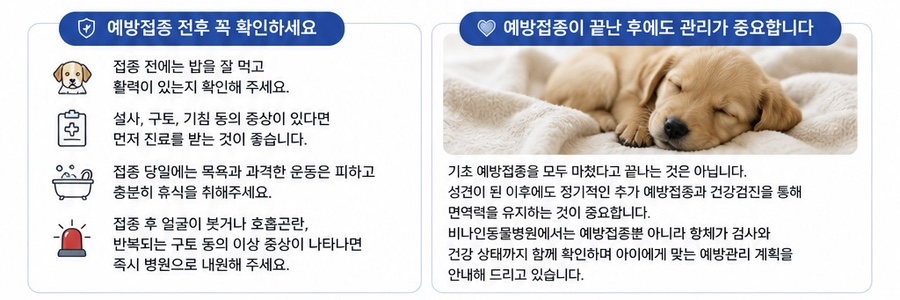 비나인동물병원 사진 5