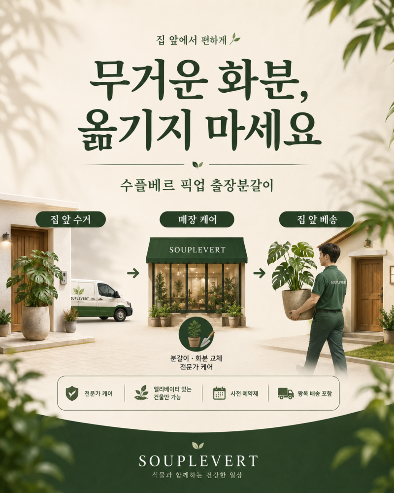 무거운 화분을 옮기기 어렵다면, 수플베르 픽업 출장분갈이 서비스