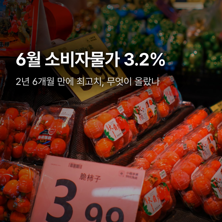 <b>6월 소비자물가</b> 3.2% <b>상승</b>, 장바구니는 왜 이렇게 무거워졌나