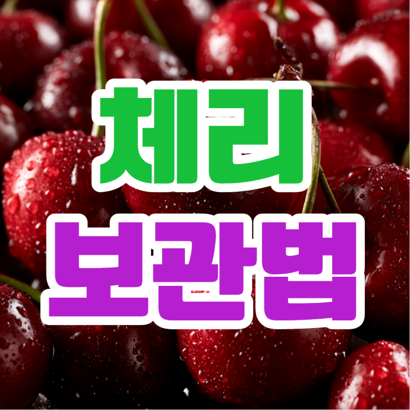 체리 보관법 제철 씻는법 신선하게 오래 먹는 팁