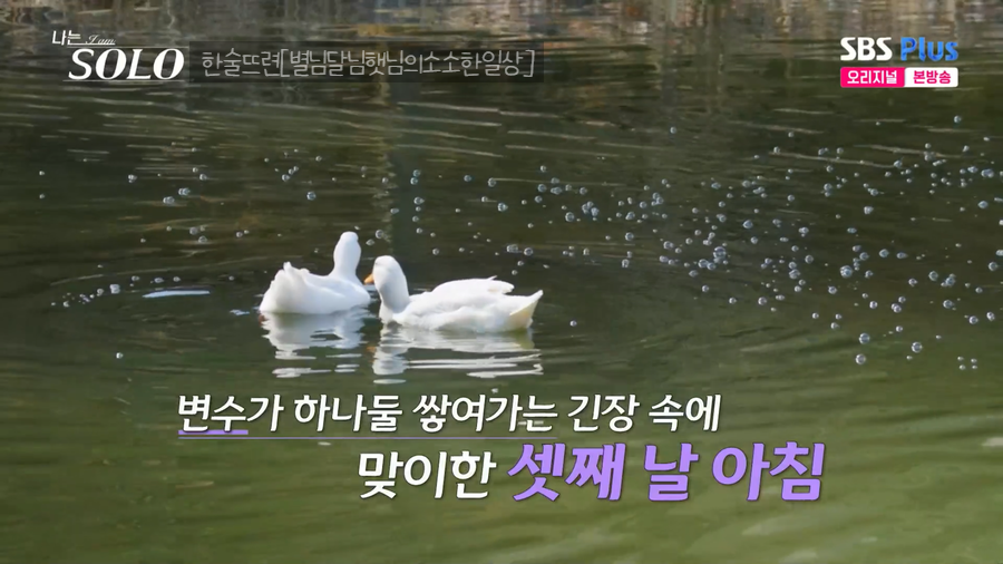 돌쇠네 사진 3