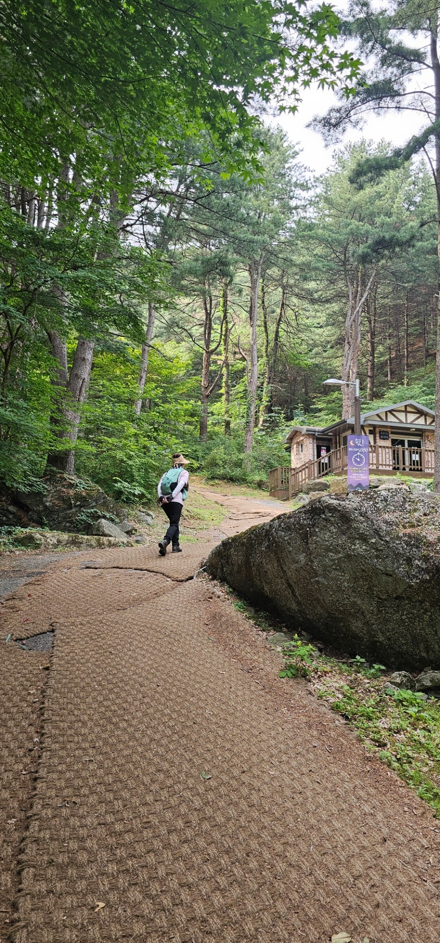 절골 사진 5