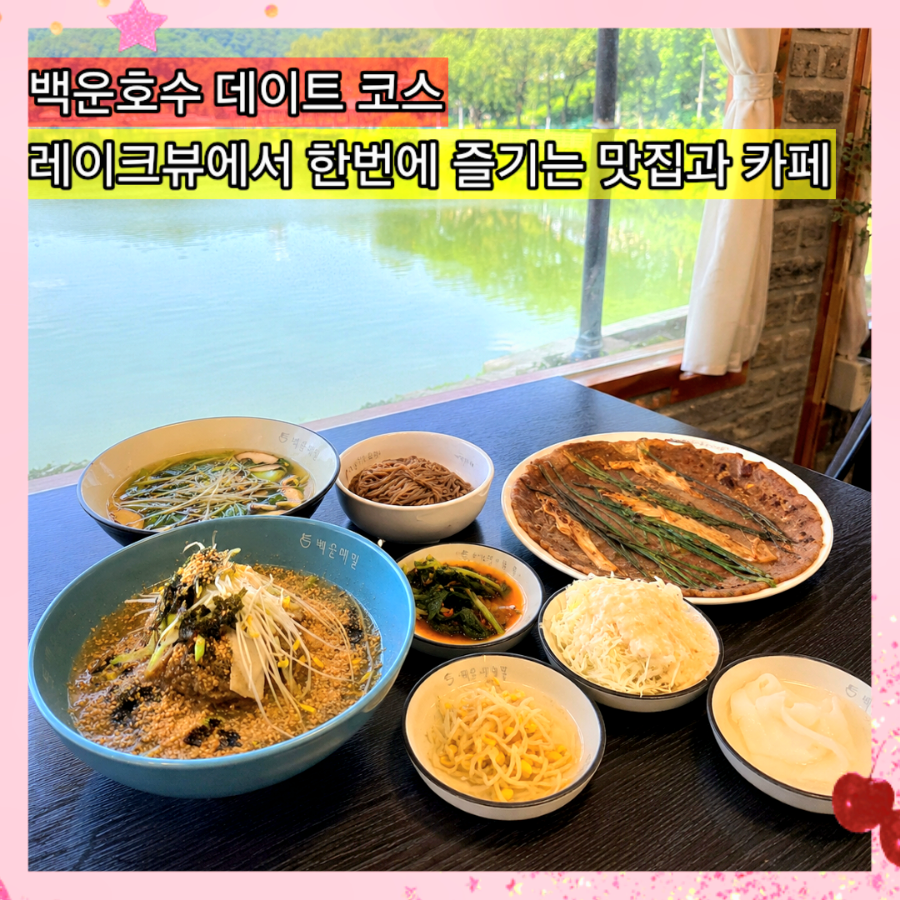 백운메밀 사진 1