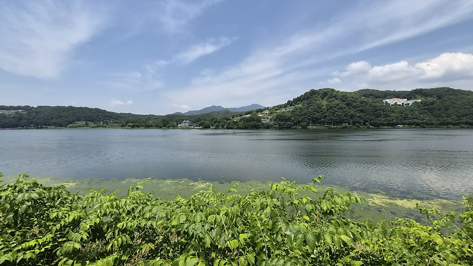 카페무르 사진 4