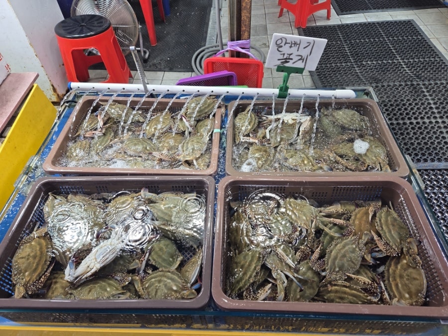 다퍼줘 사진 6