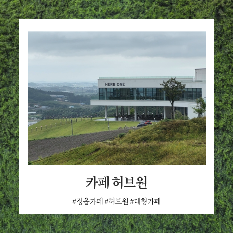 정읍 라벤더 카페로 유명한 정원 맛집 대형카페