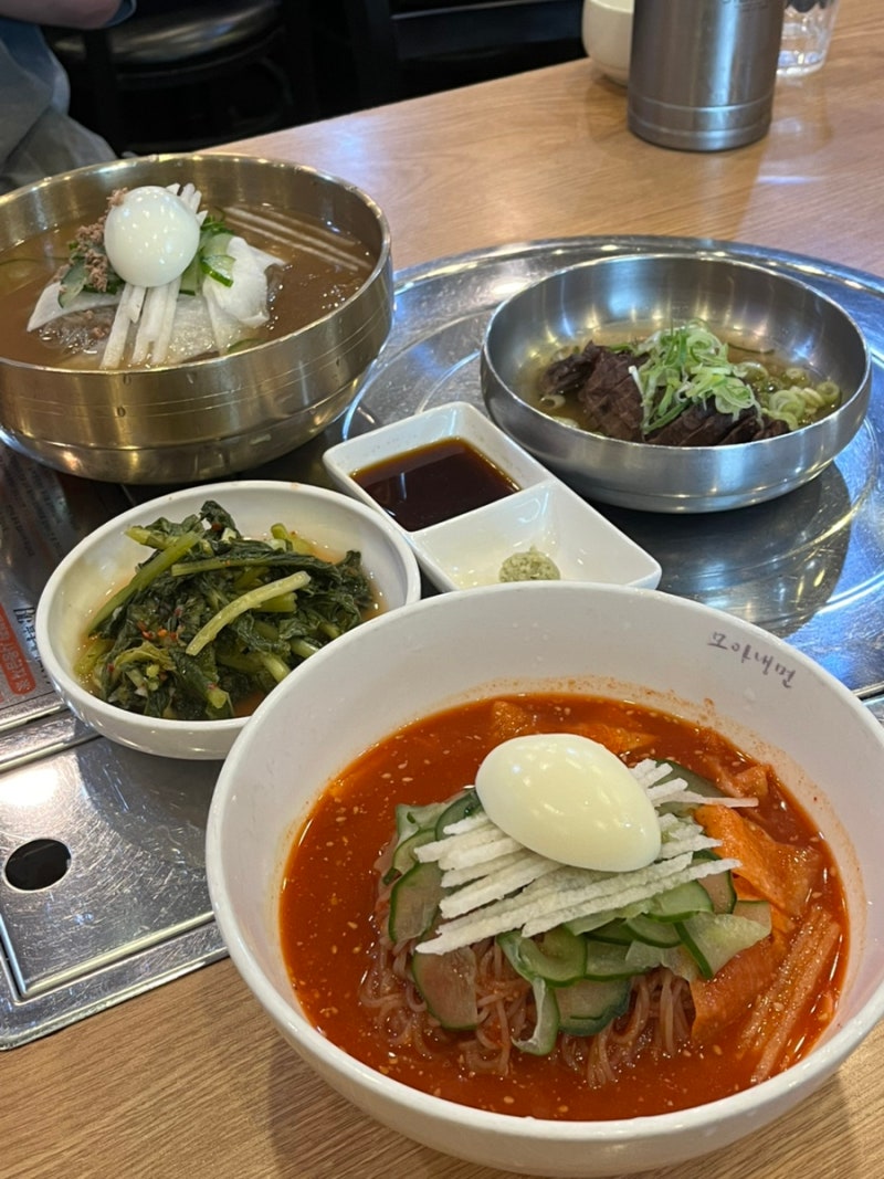 [파주 문산] 모아냉면 (가게에서 직접 뽑는 메밀면 냉면 맛집)