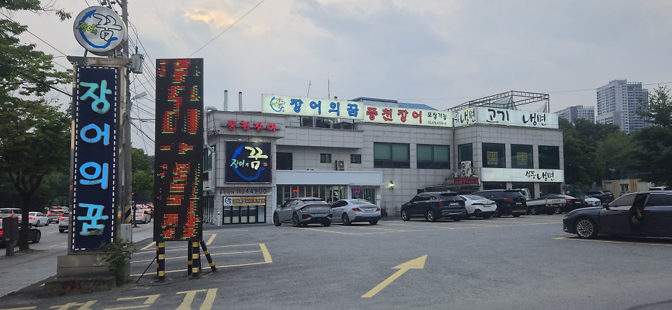 장어의꿈 사진 2