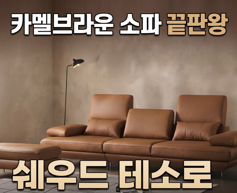 카멜브라운 소파 고민 끝! 쉐우드가구 테소로 천연통가죽 스윙 소파, 한 달 실사용 후기