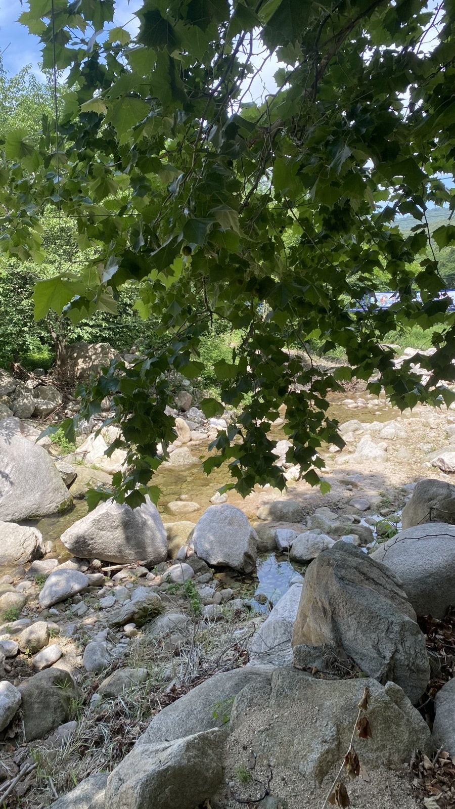 북한산장 사진 5