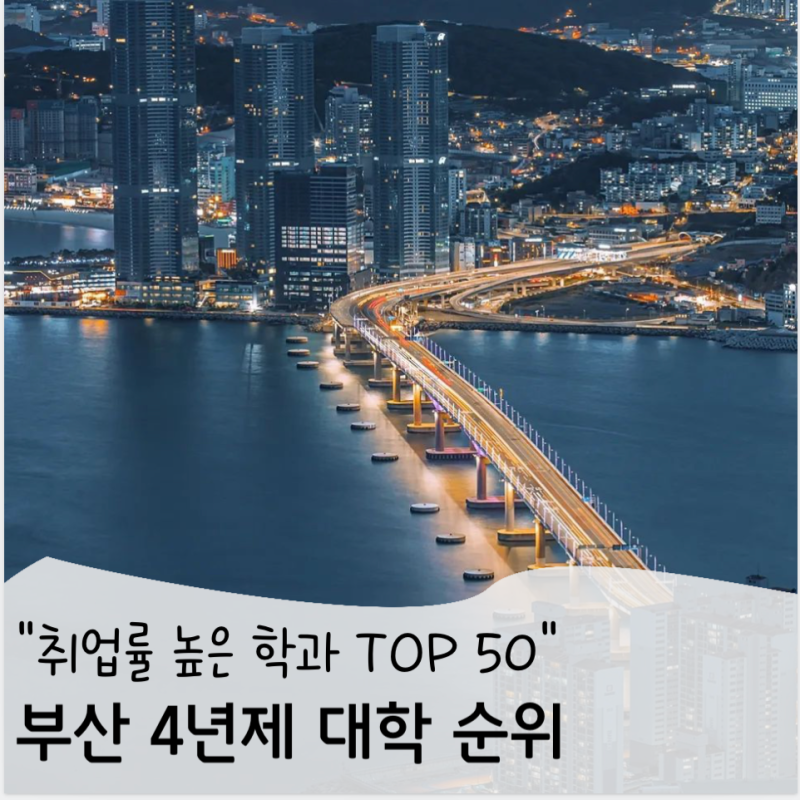 부산 4년제 대학 순위 TOP 50 – 취업률 높은 학과는 어디?