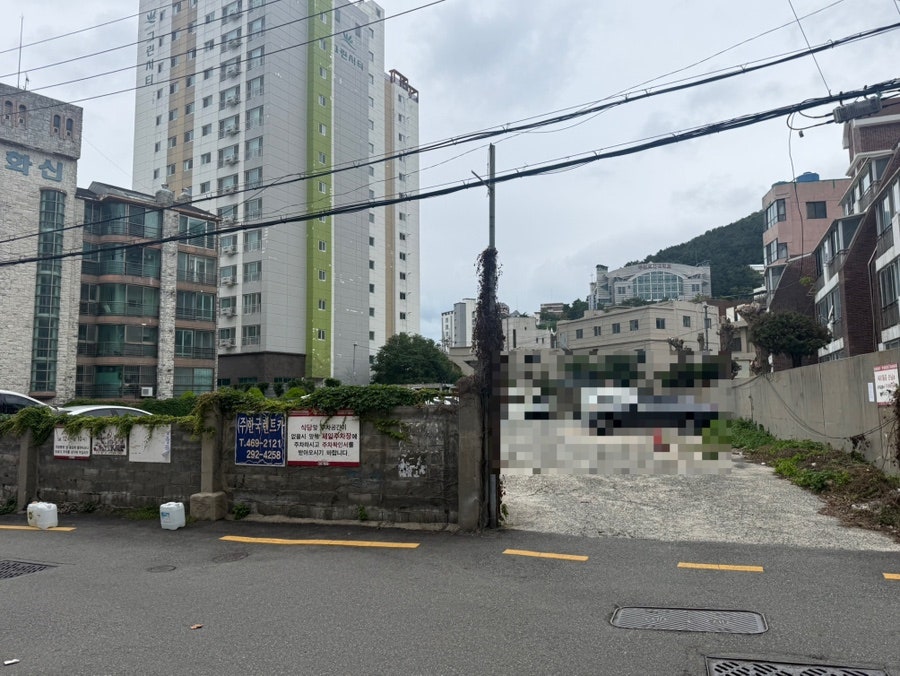 대티물꽁 사진 7