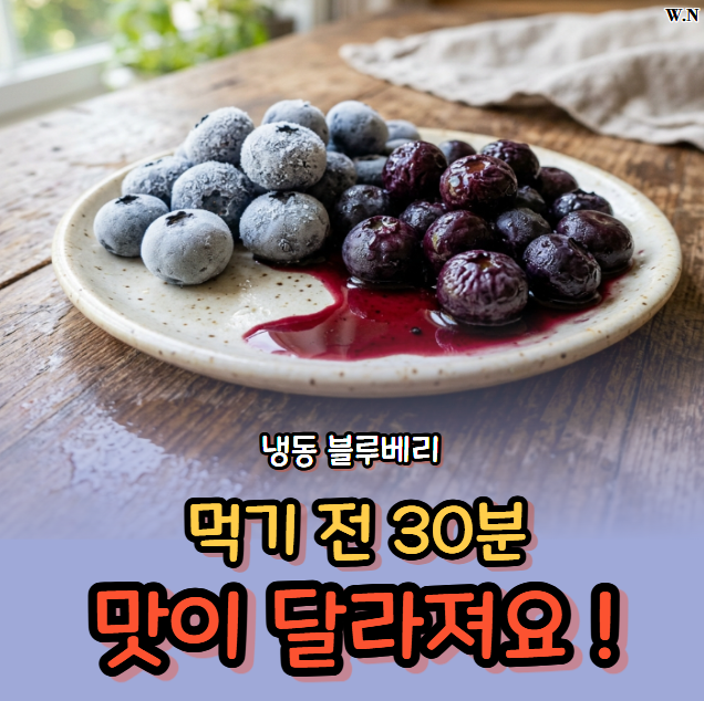 냉동 블루베리 해동할 때 다들 하는 실수, 이렇게 했더니 맛이 다 빠졌습니다