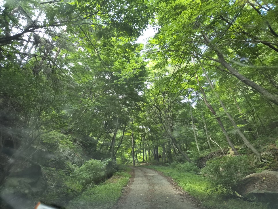 고남산 사진 2