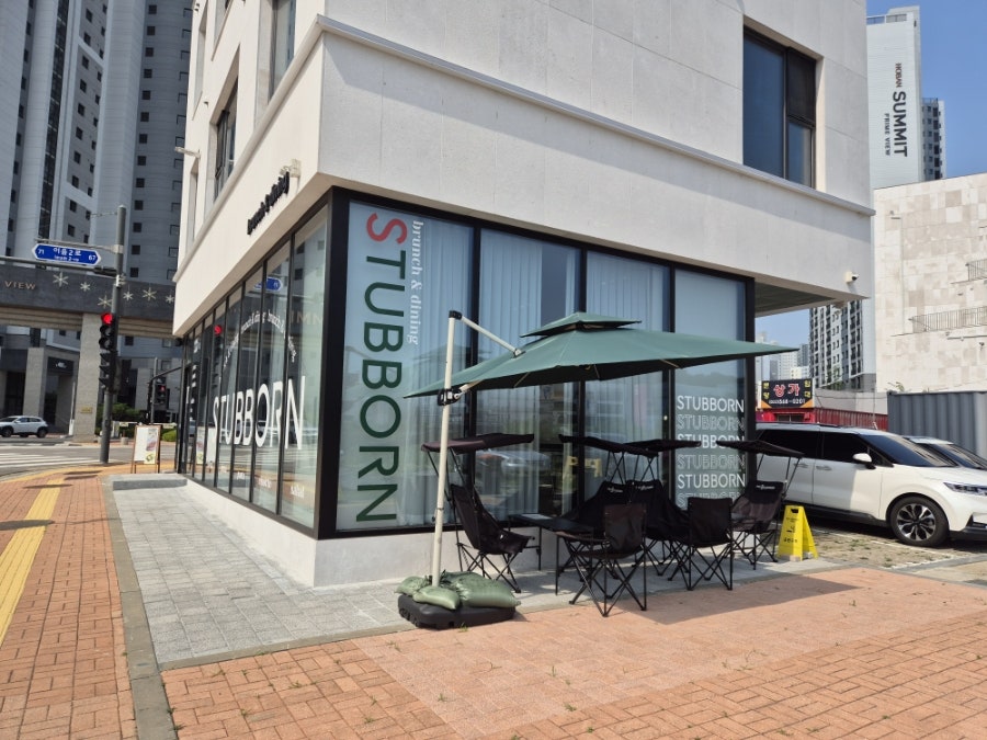 스터번 사진 5