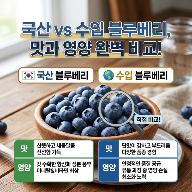 국산 블루베리 vs 수입 블루베리, 맛과 영양 차이 비교