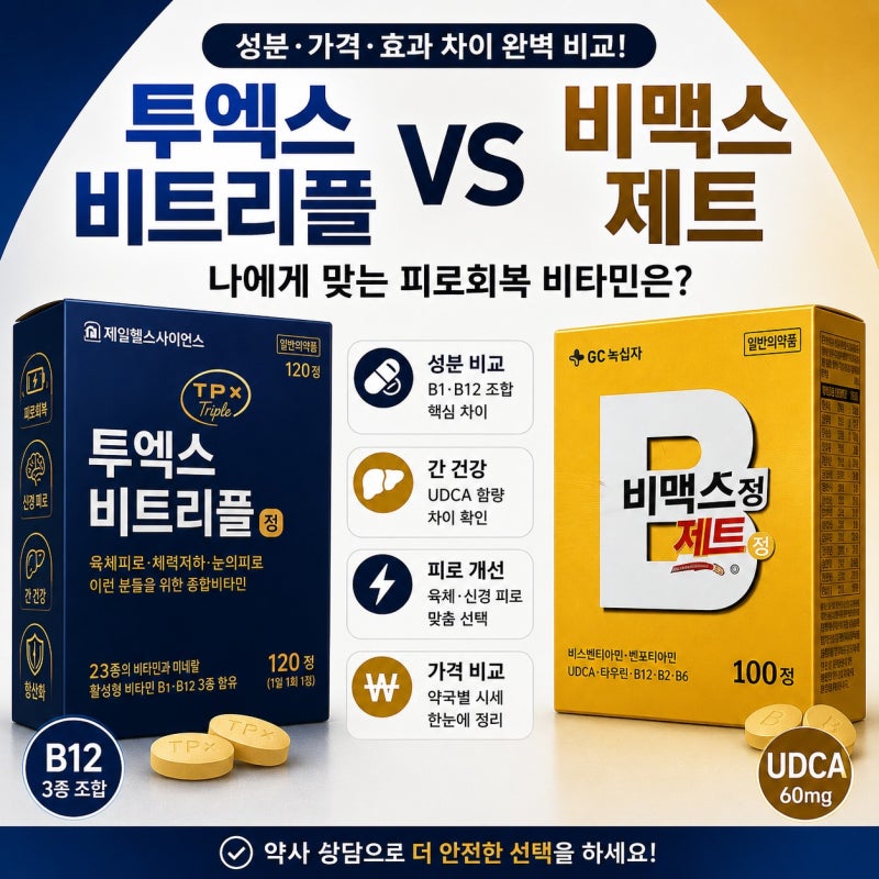 투엑스비트리플 vs 비맥스 제트 성분 가격 차이 완벽 비교