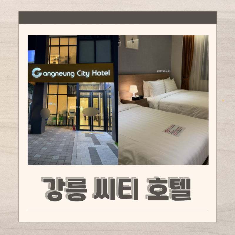 강릉 가성비 숙소 추천 디럭스 트윈룸 솔직 후기