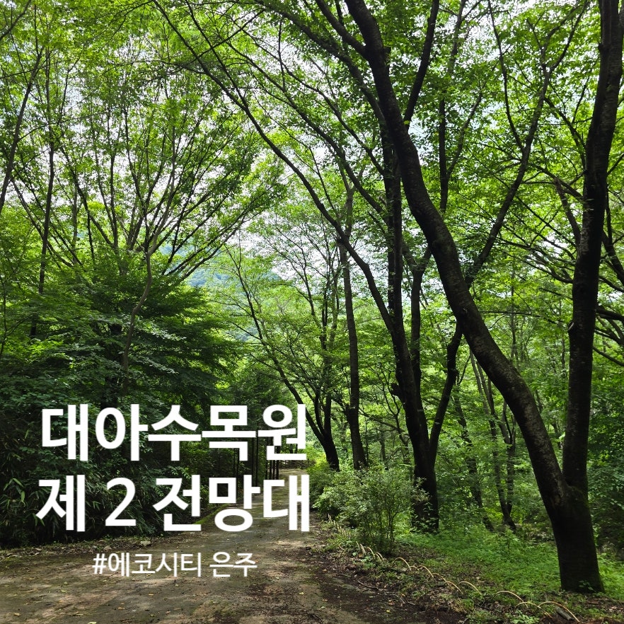 대아수목원 제2전망대 사진 1