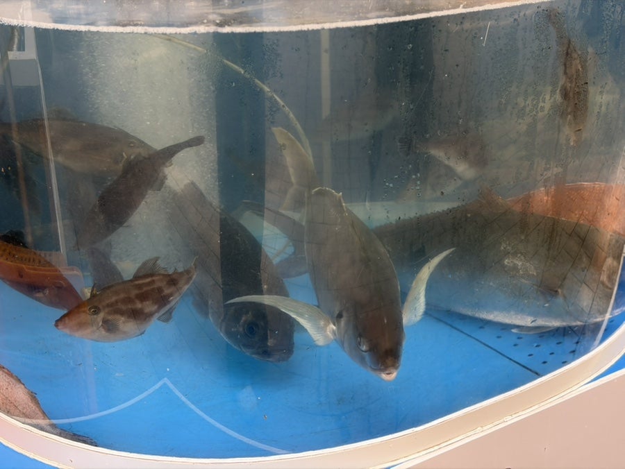 만선회관 사진 5
