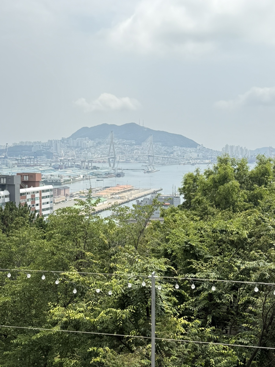 달숲 사진 3