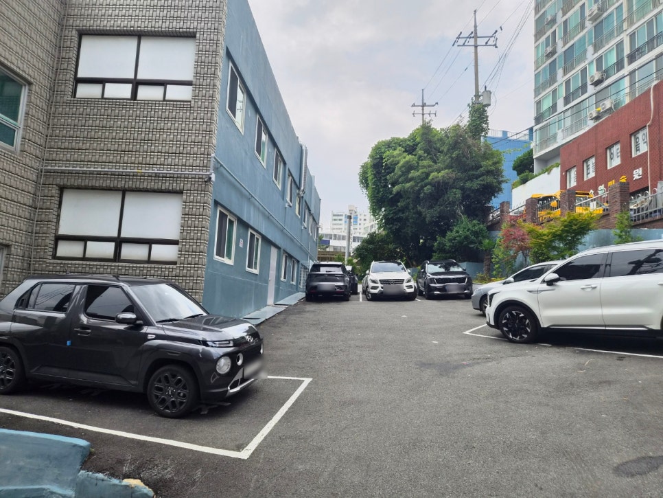 거북이동네 부산영도점 사진 2