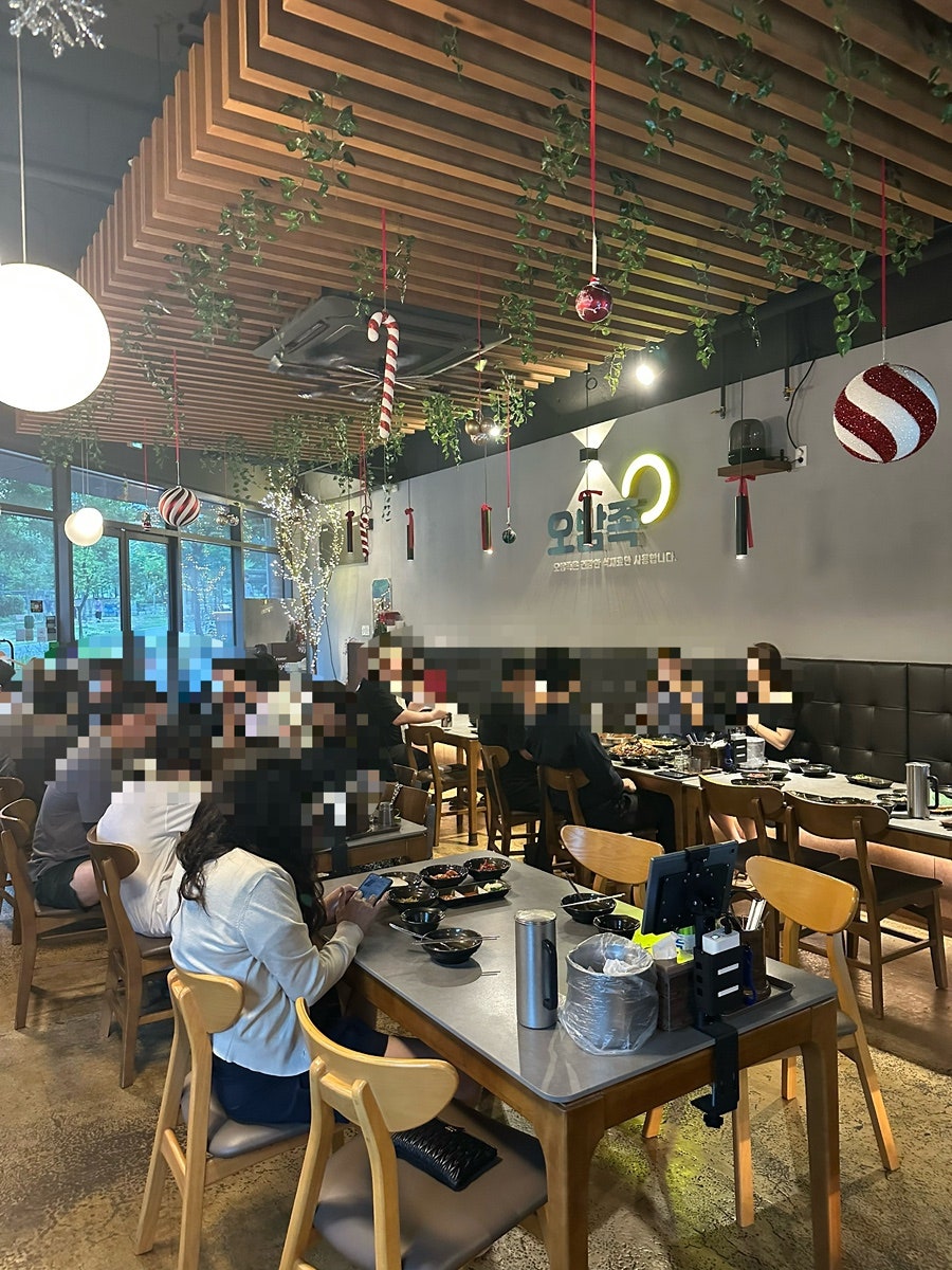 오밤족 사진 6