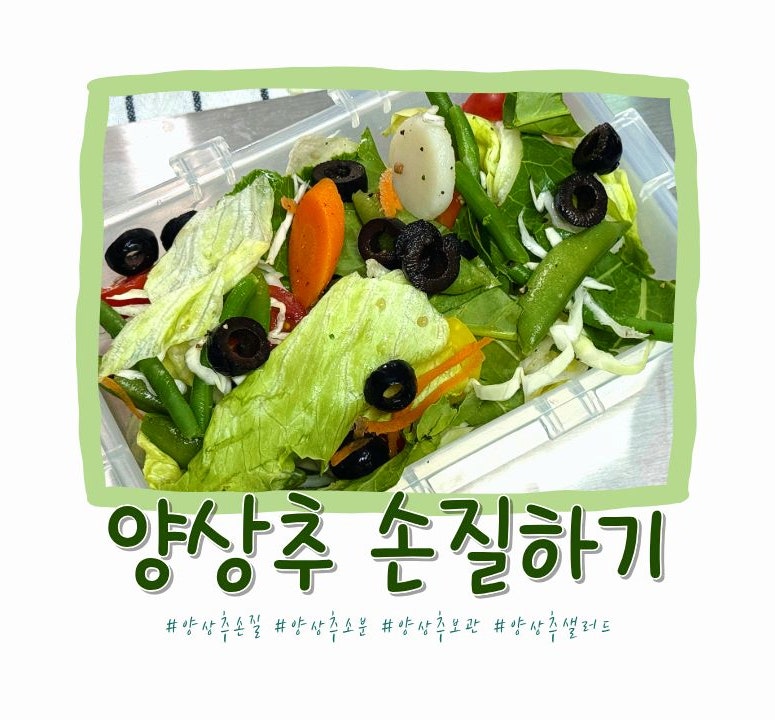 양상추 손질 후 샐러드용 소분 보관하는 방법