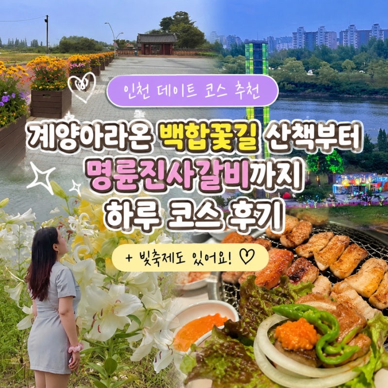 [ 인천 데이트 코스 추천 ] 계양아라온 백합꽃길 산책부터 명륜진사갈비까지 하루 코스 후기