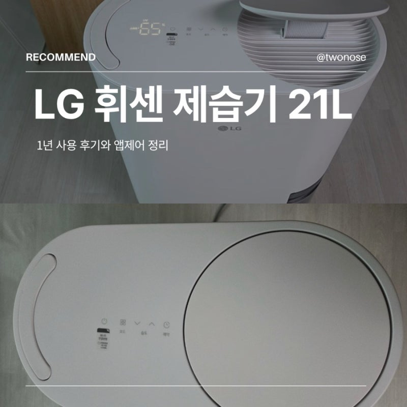 장마 필수템 LG 제습기 21L 1년 사용해본 장마철 집안 습기 관리템