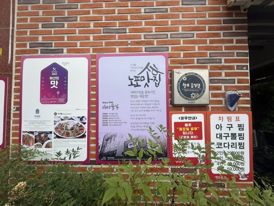 대티물꽁 사진 6
