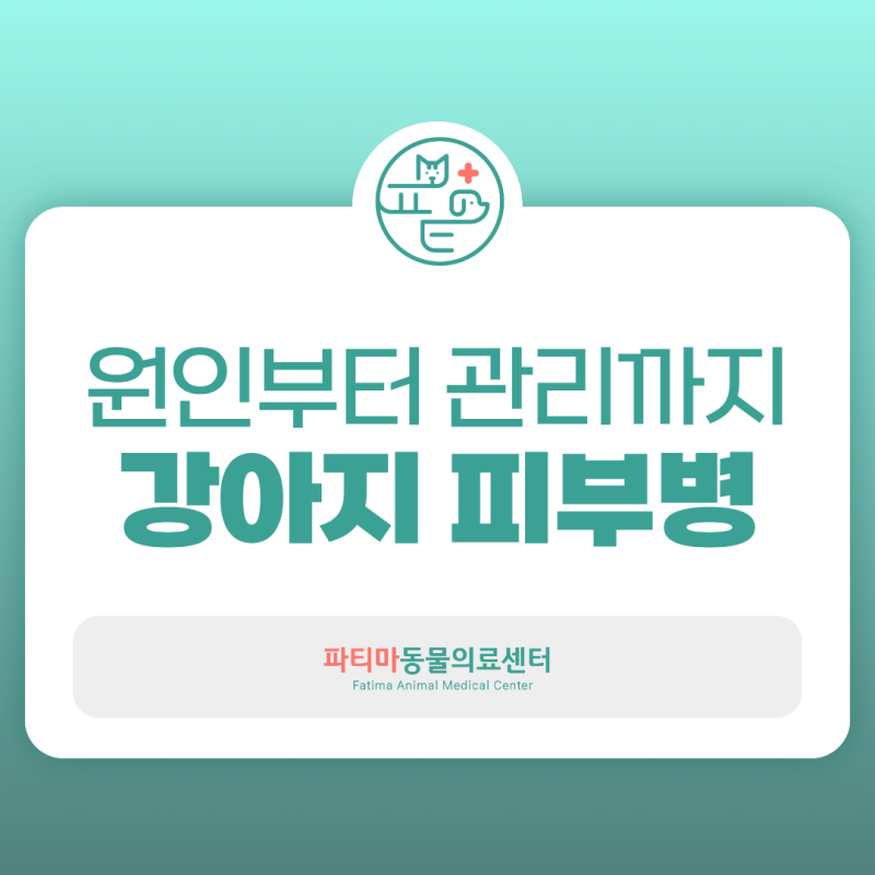 강아지 피부병 종류와 원인 관리법 대구 동물병원에서 알려드립니다