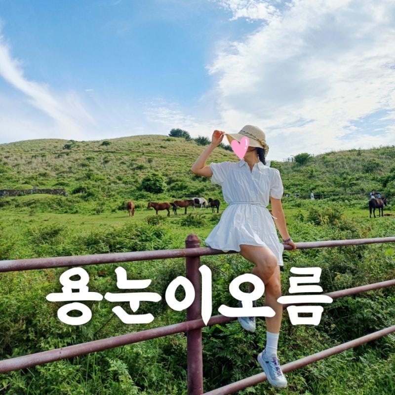 6월 제주도 용눈이오름 등반 후기 소요시간·난이도·주차·방문꿀팁 총정리