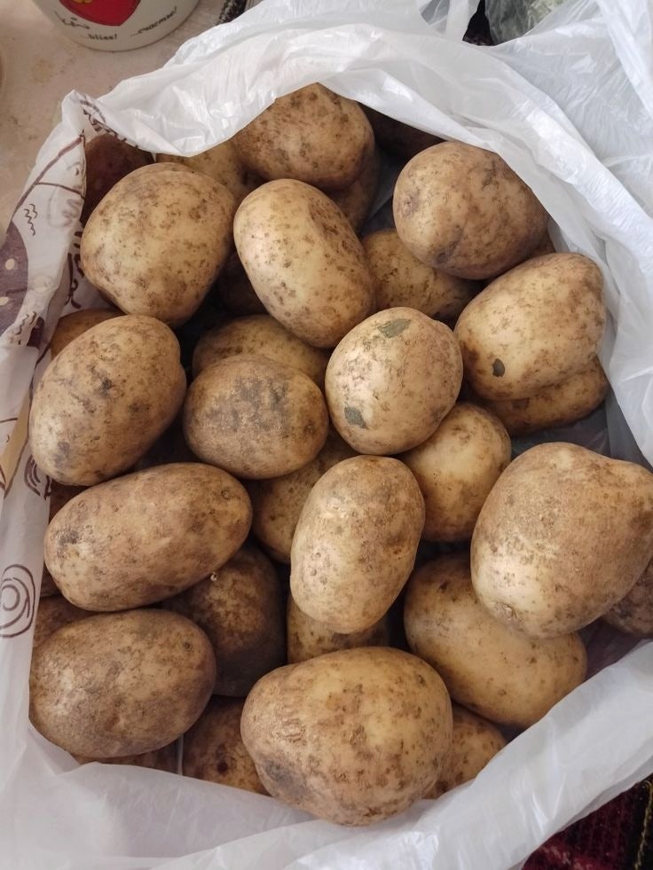 감자 보관방법, 냉장부터 냉동까지 깐 감자보관법 총정리