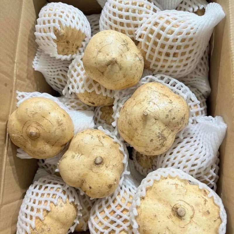 히카마 멕시코감자 직접 써본 가격 체감 후기