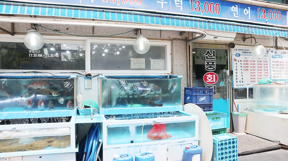 신풍종합어시장 사진 5