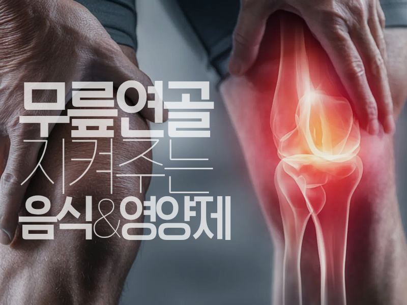 무릎연골에 좋은 음식 영양제 무릎연골 지켜주는 방패!!