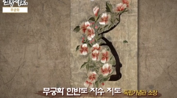 무궁화 사진 1