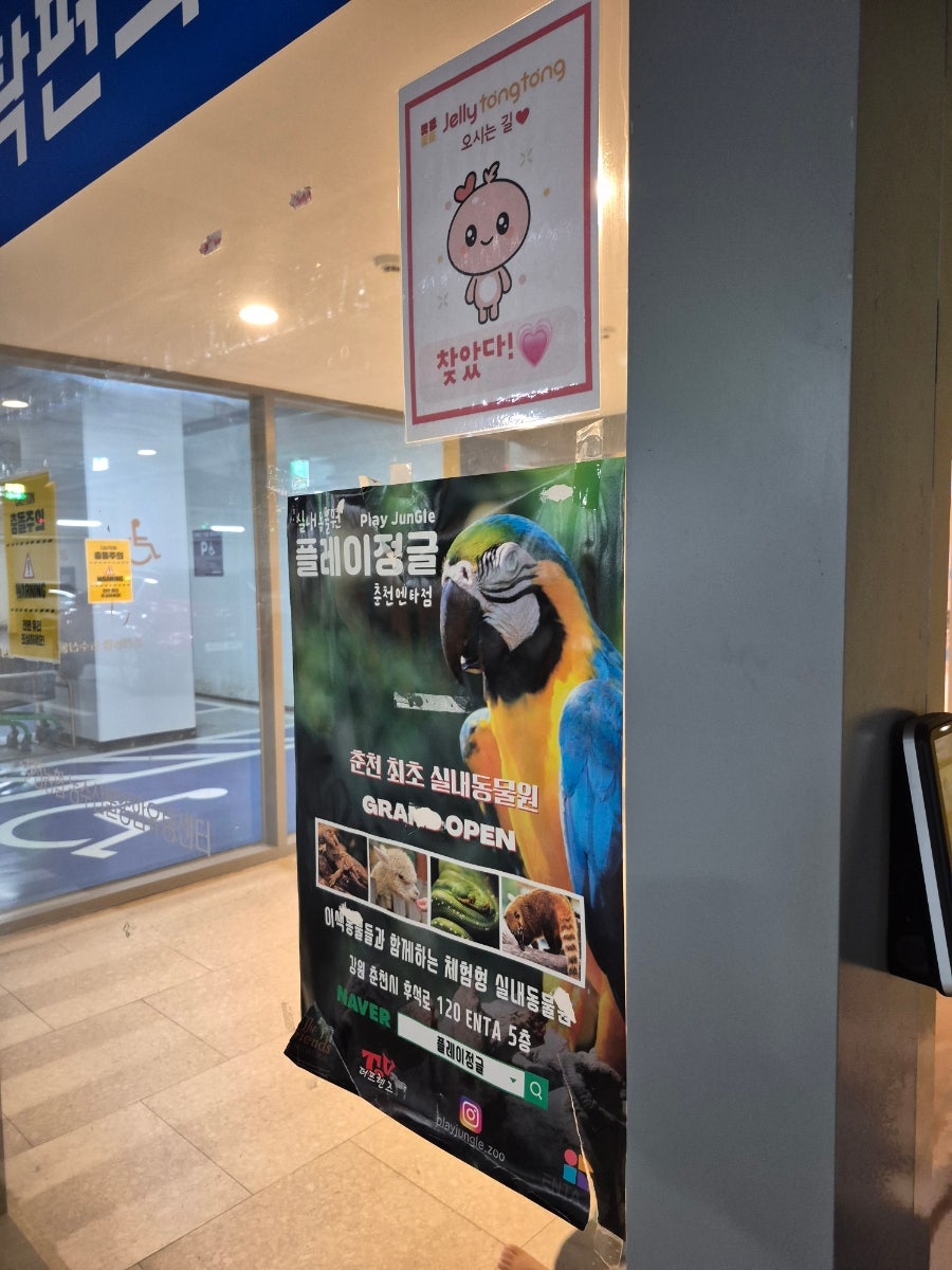 엄마의손길 사진 2