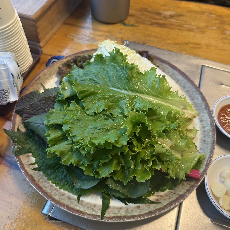 영산강민물장어 사진 6