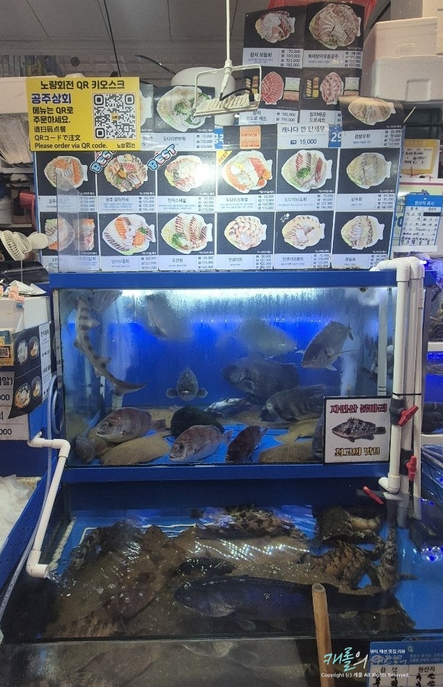 공주상회 사진 5