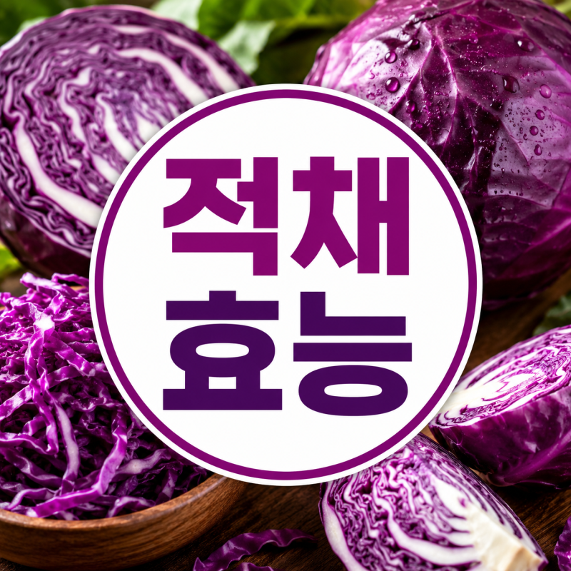 적채효능 제대로 보려면? 영양성분·먹는법·부작용 총정리