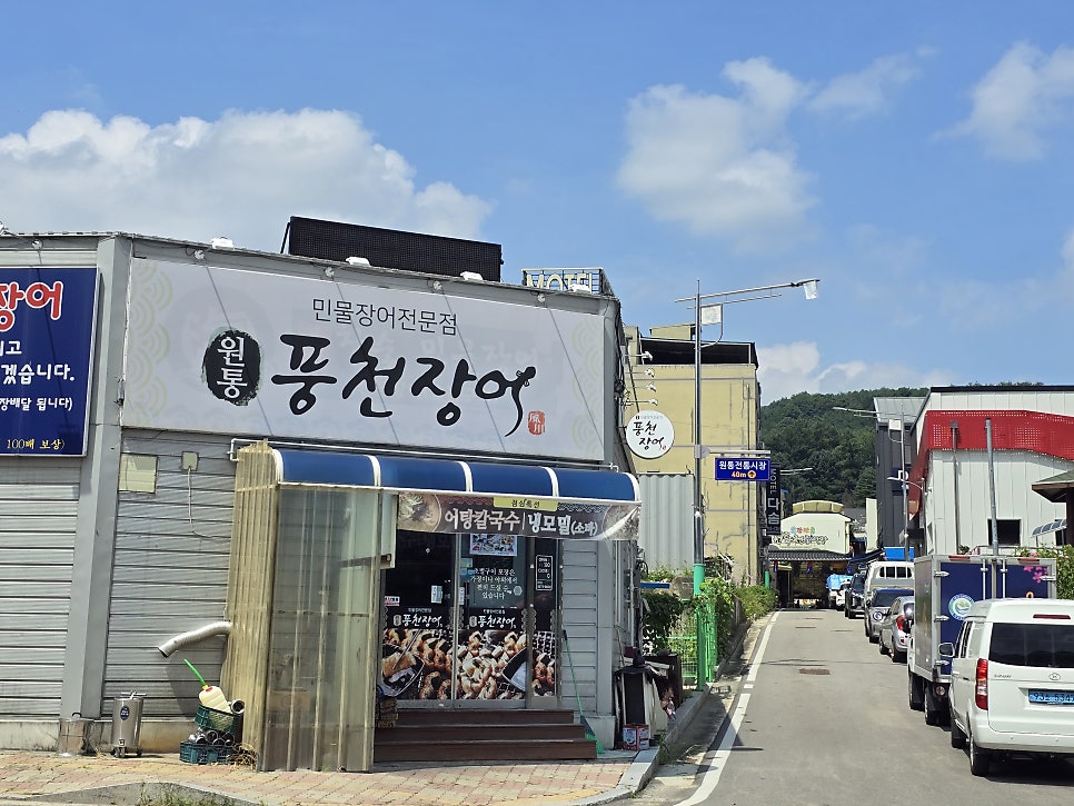 원통풍천민물장어 사진 1
