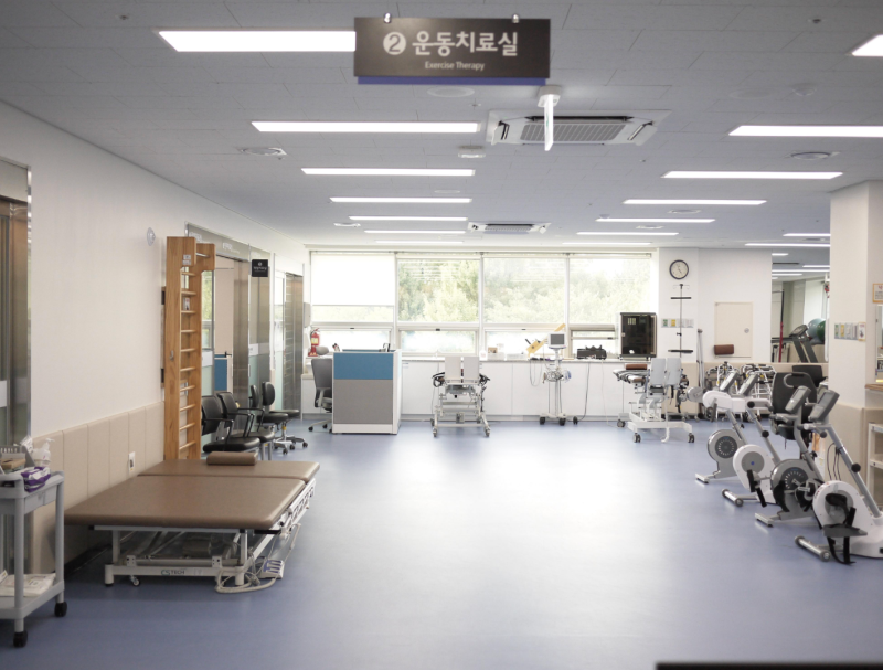 도수치료 총정리! 효과부터 실비보험 적용, 비용까지 한 번에 알아보기
