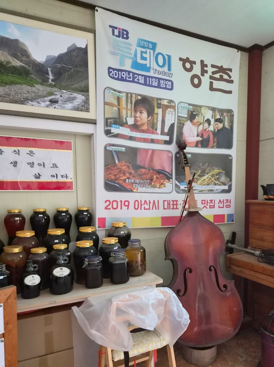 향촌 사진 5