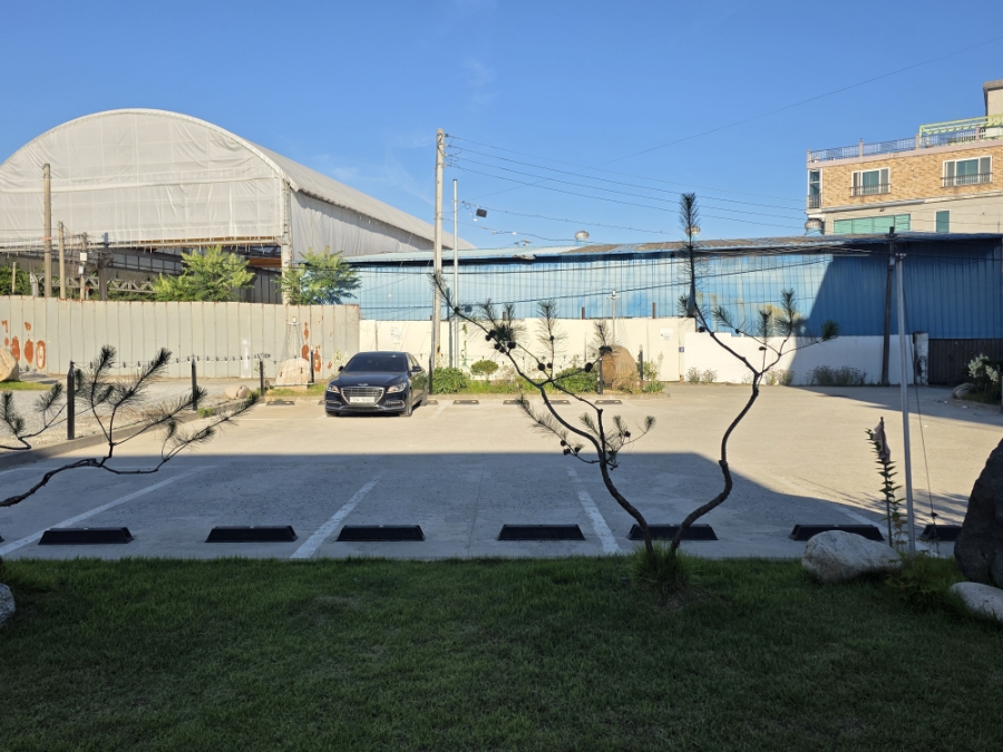 비반트 사진 6