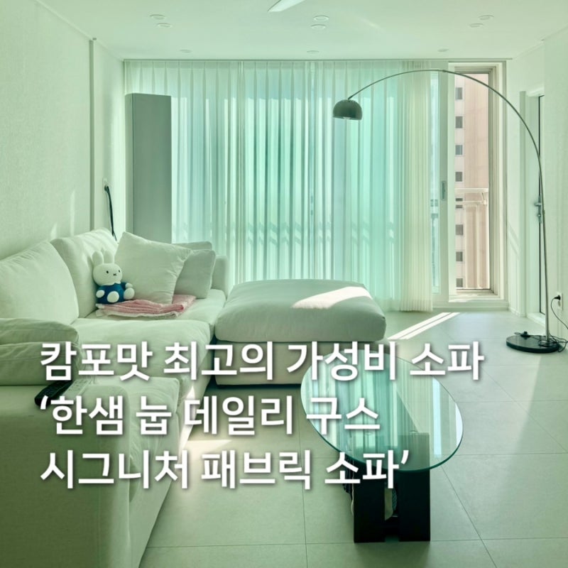 캄포맛 오늘의집 가성비소파 한샘 눕데일리 구스 시그니처 6개월 사용 후기