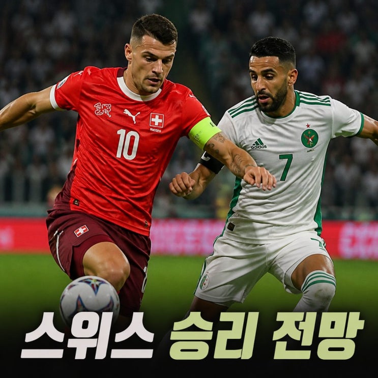 2026 월드컵 32강 <b>스위스 알제리</b> 피파랭킹 승부 예측